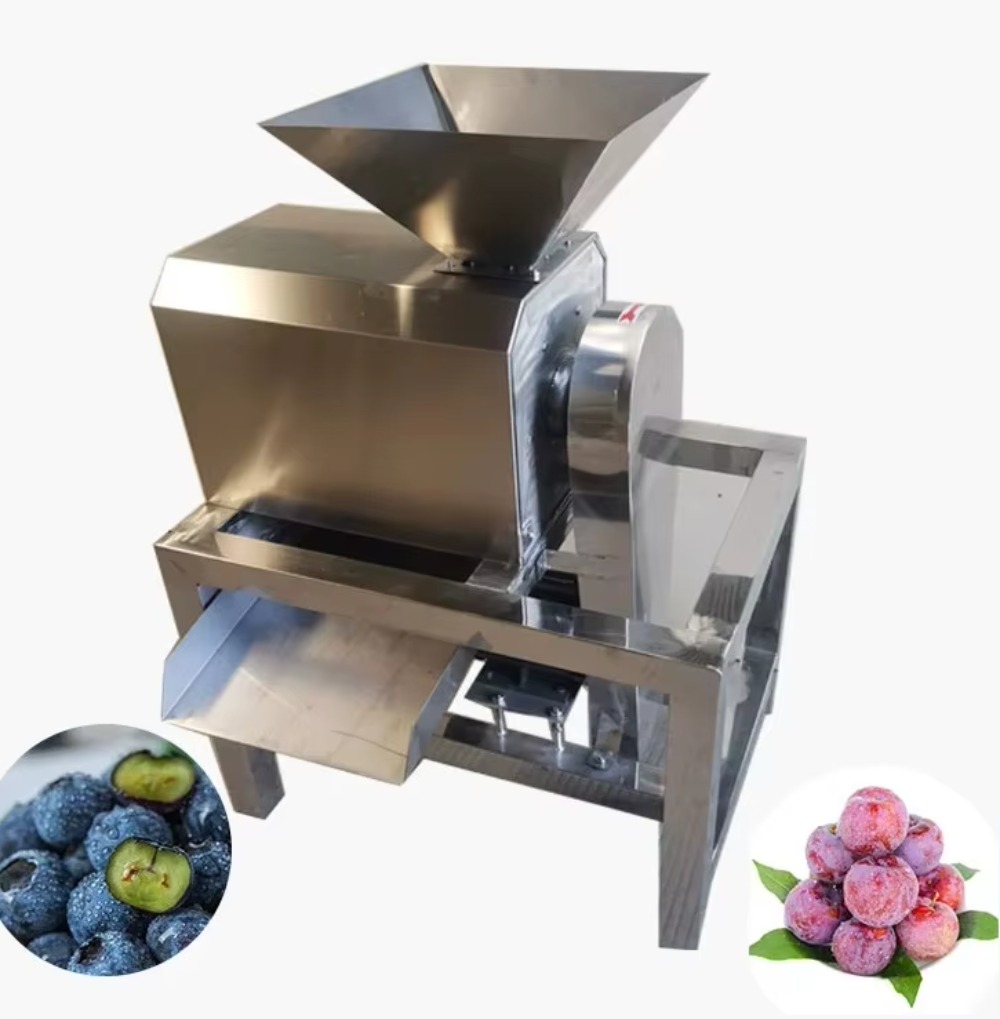業務用ジューサー、果物ジュースパルプ化機、マンゴーオレンジジ - Juice Extractor Commercial のレビューと価格